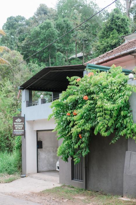 Serenity Home Stay