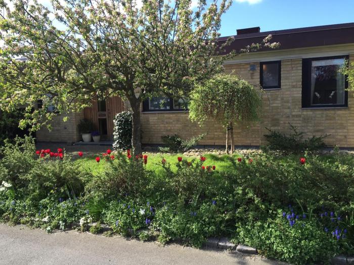 Fantastic house with a cute garden!
