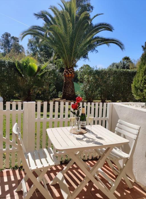 Puerto Banus Apartment near beachfront, big sunny terrace, pool, tennis court, parking & movies projector