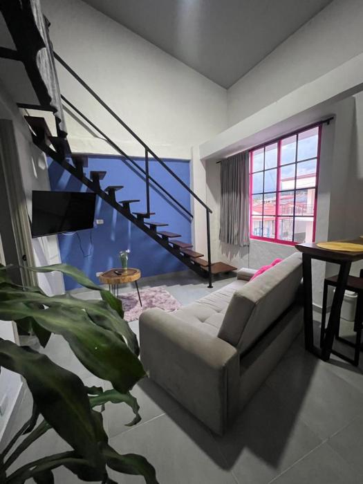 apartaestudio salento 6