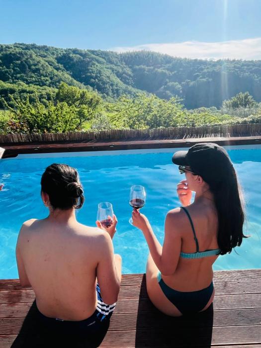 Romantic Tuscan Barn with Pool Views Private Terrace Sleeps 2 to 6, Lamole Greve in Chianti