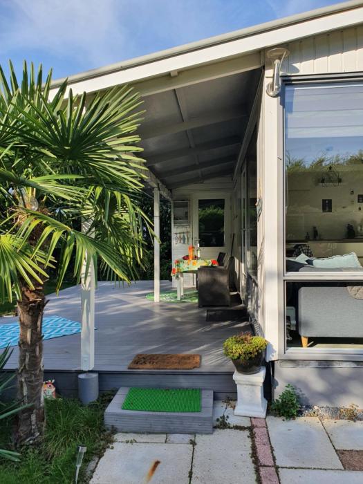 Palm tree beach house