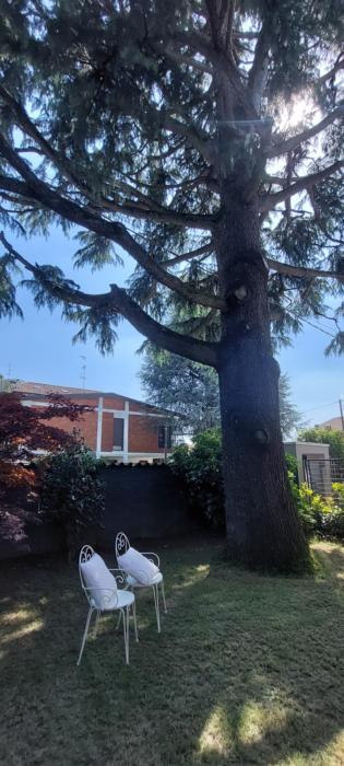 Comfortable apartment - Monza park with garage