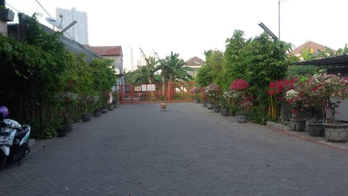 Taman Paradise Homestay