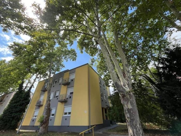 Lombkorona apartman