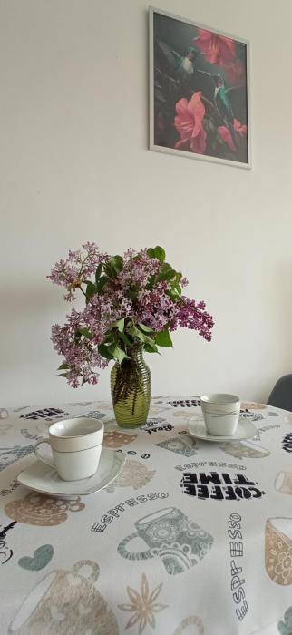 Słoneczne Centrum Apartament