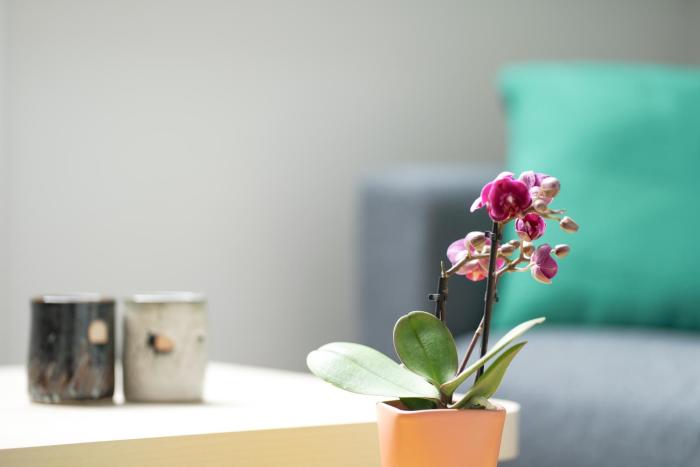 Gîte dartiste, Riverside