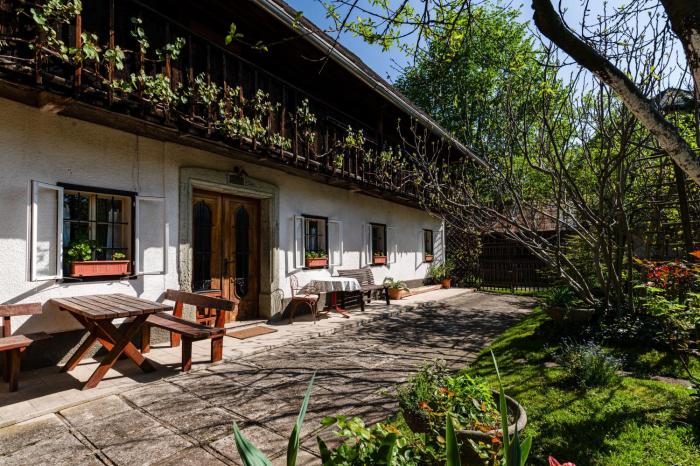 House, Garden and a Green Cat