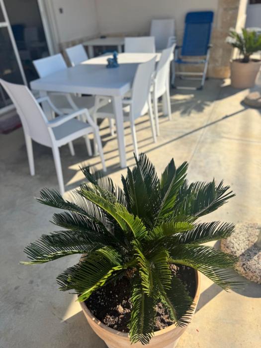 Ferienhaus im Herzen von Salento