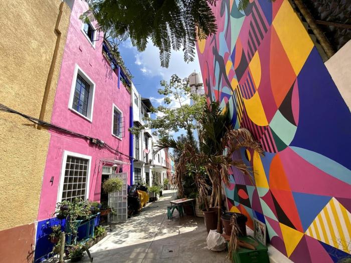 Sustainable Home - Casa Vecindad Murals