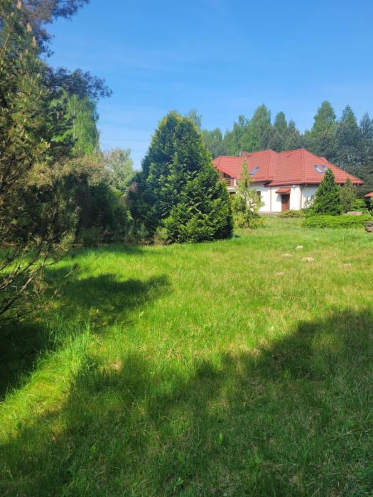 Bukowinka - dom pod lasem