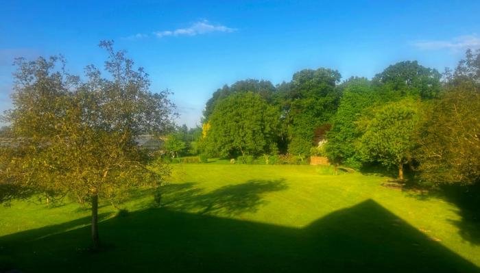 Ferienwohnung Wiesenblick