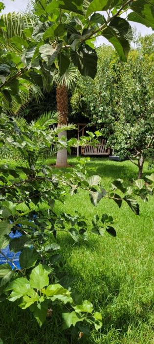 طريق تمصلوحت مراكش