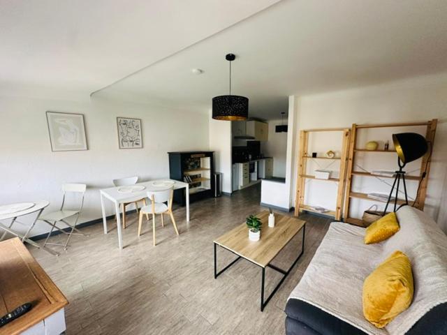 Grand T2 50m2 Narbonne centre, vue sur cathédrale