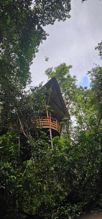 Casa en el árbol Gecko - 4 Umari