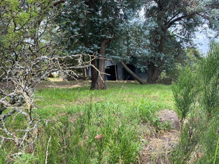 Beautiful steelframe house