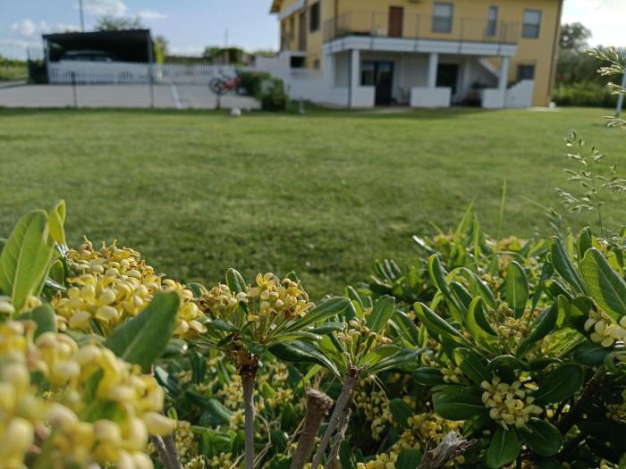 Natura e Mente Camere e Relax