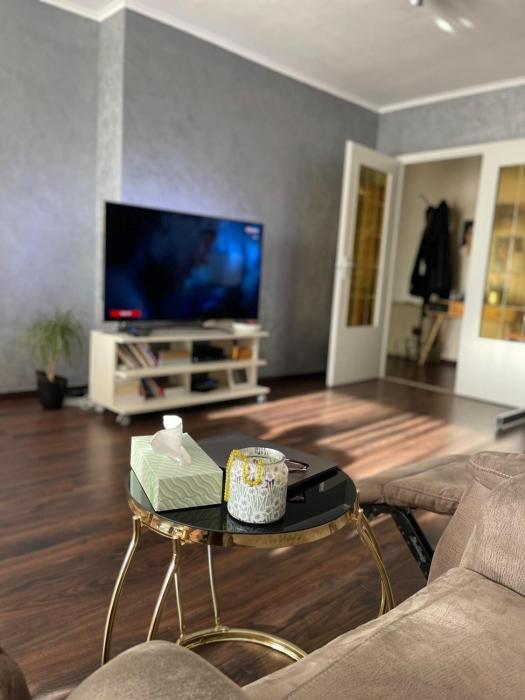 Cosy appartment near city center