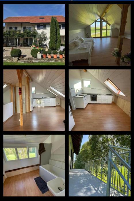 Loftwohnung in Naturnähe