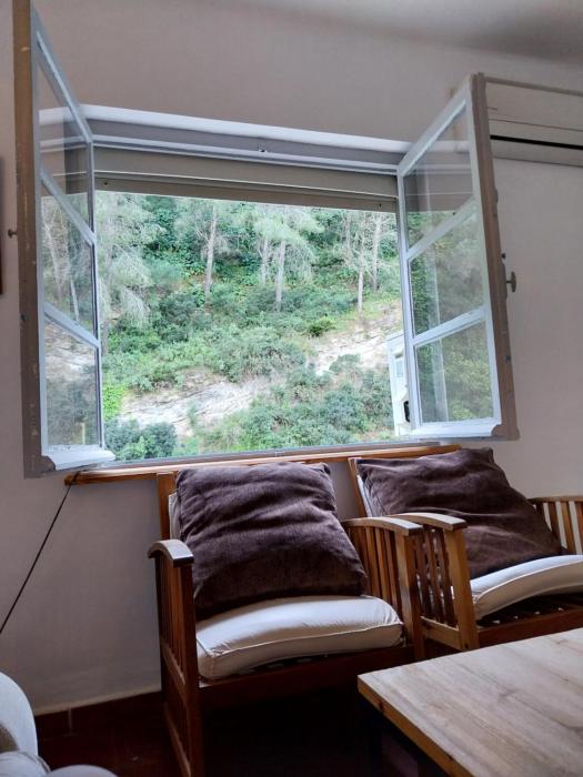 Ave Ibis eremita Vejer