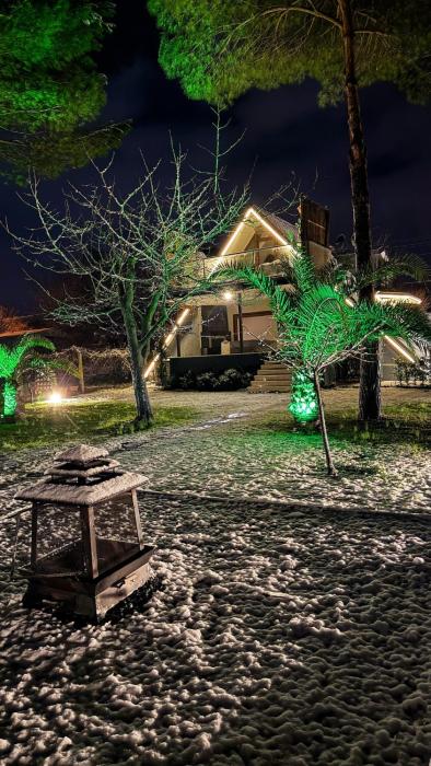 Shore of Sapanca Lake Çatı Villa Lakehouse