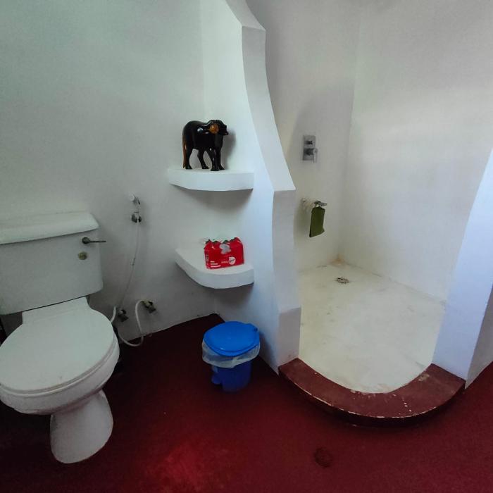 Baba Yaga Nest Beach Farm House