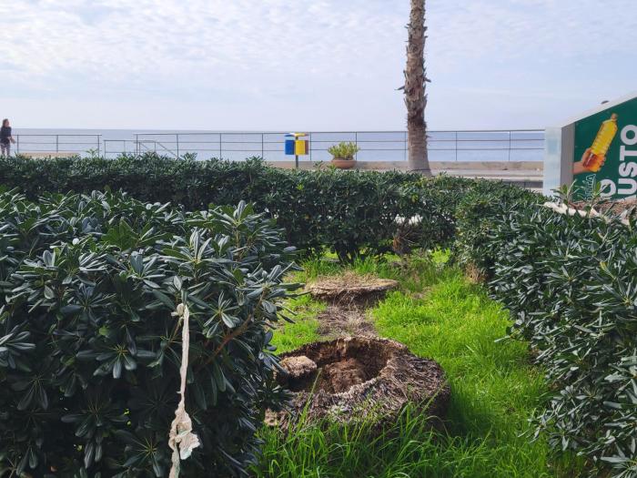 Vacanze sul Lungomare