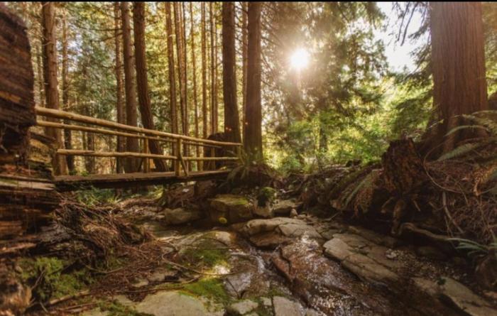 Hidden Creek Hideaway