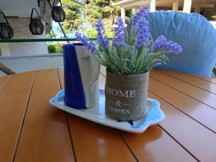 Four Reasons Apts Kamena Vourla