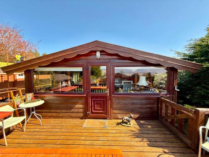 Shifty Chicken Shack