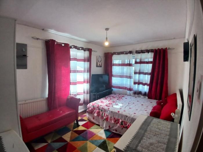 Charming London Guest Room with Garden BBQ