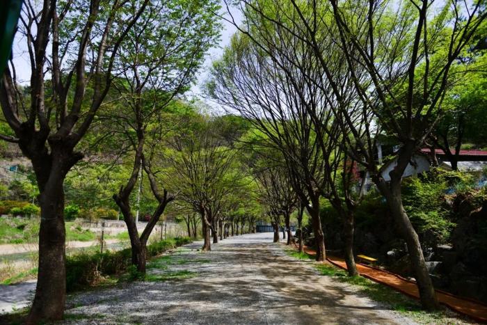 Riverside Forest Pension Camping