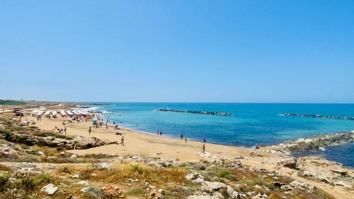 Elegant beachside apt - 1 min walk to Venus beach