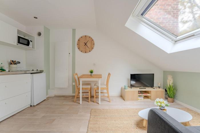 Bright Studio for 2 : Lille City-center