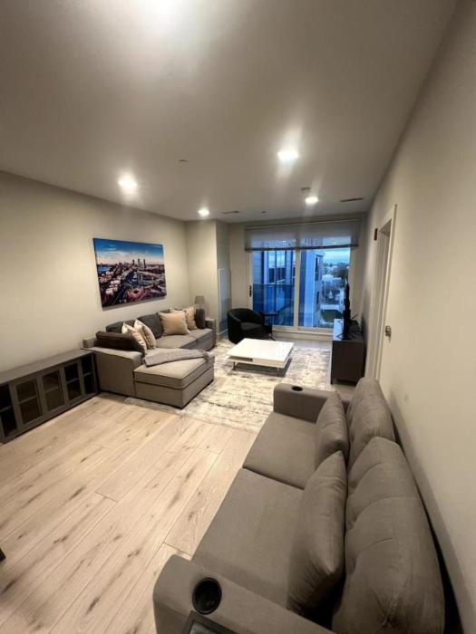 Luxurious 1BR, Pool, Gym, nr Blue Line