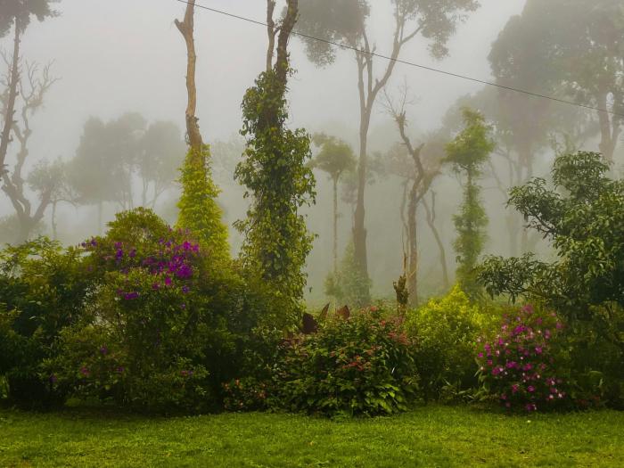 The Perch -Entire house. A Coffee Lovers Paradise