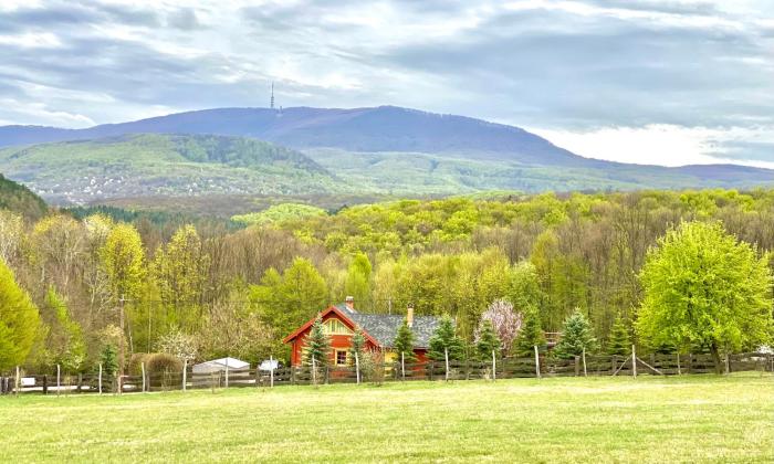 Parádsasvári Sasfészek