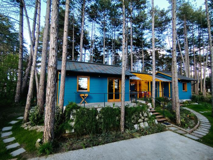 Surányi kék házak