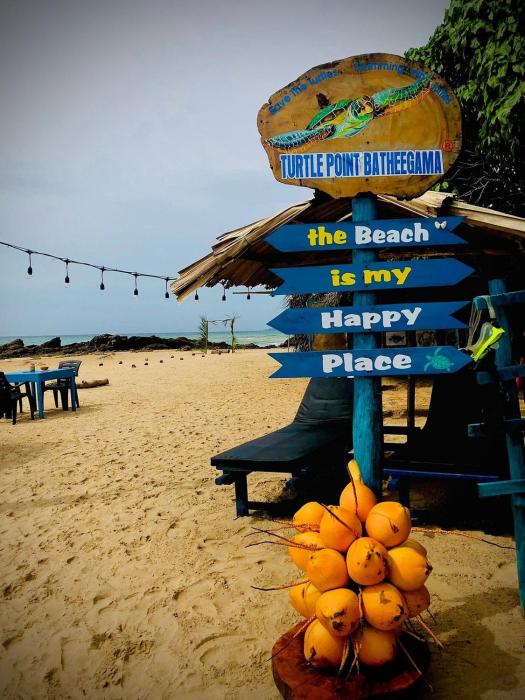 Tamasha Mango Home stay