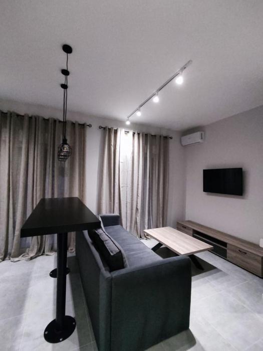 Elegant and spacious penthouse