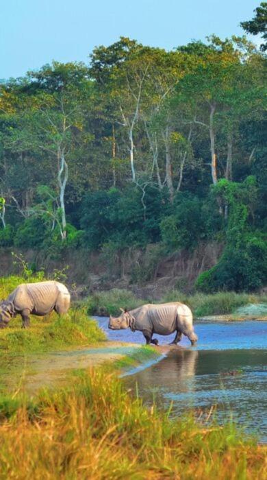 Homestay and Trip Organiser