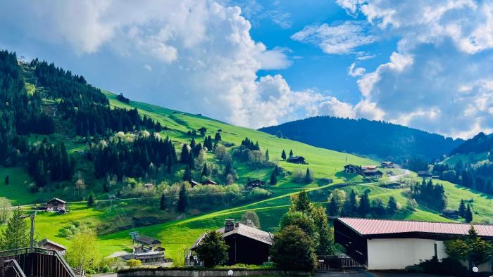Cocon alpin rénové - Accès direct aux pistes