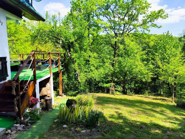 UNDER THE GREEN ROOF