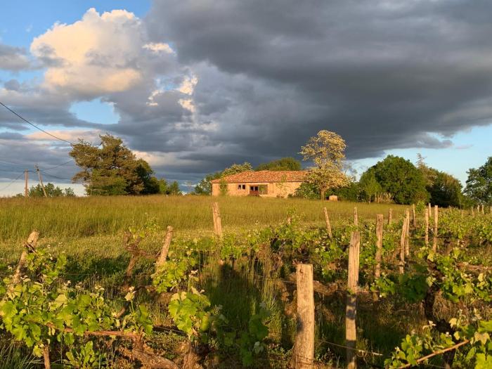 Les vins de Rouyré - Maison, 4 pers, grand jardin, bain nordique