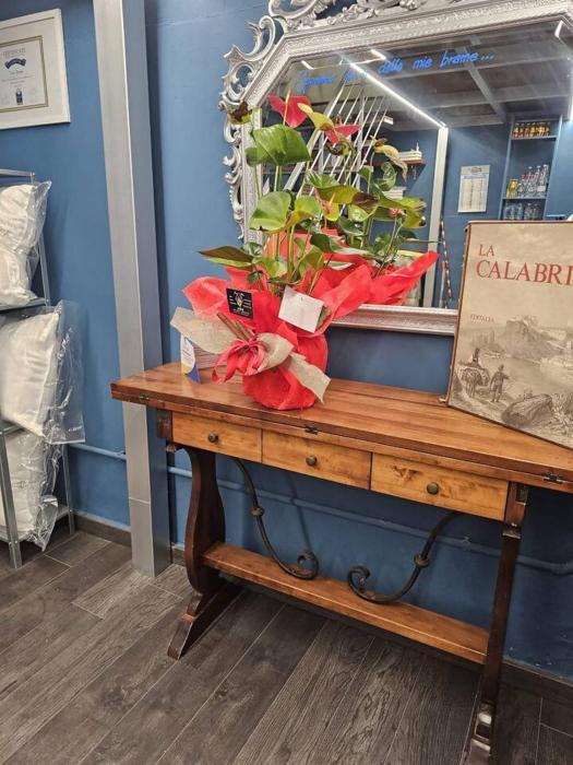 Loft nel cuore di RC