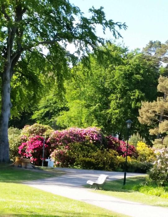 Ferienwohnung Spilgies GM 69756