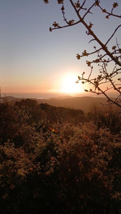 Sa Mesaluna Naturhouse