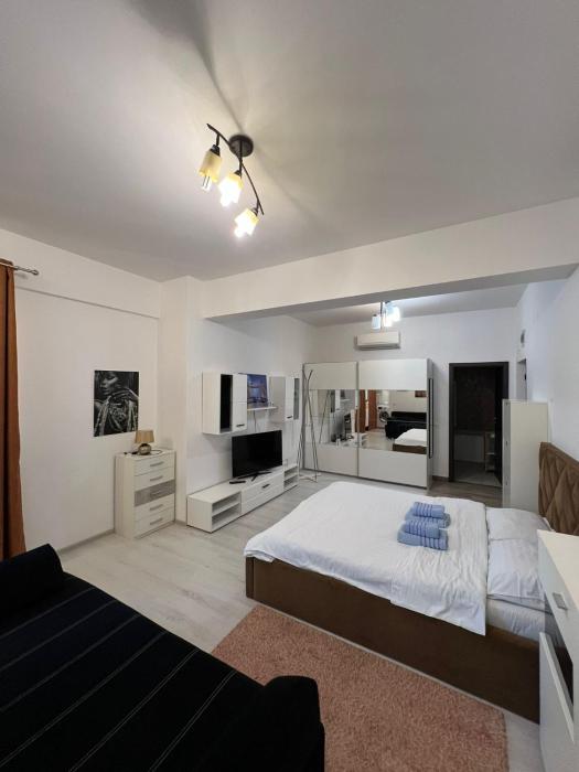 View of Iasi 1 Room Flat