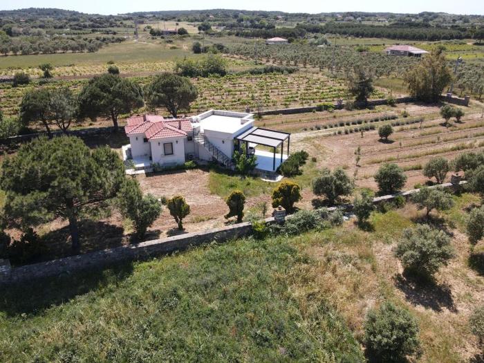 Bozcada Aden Vineyard