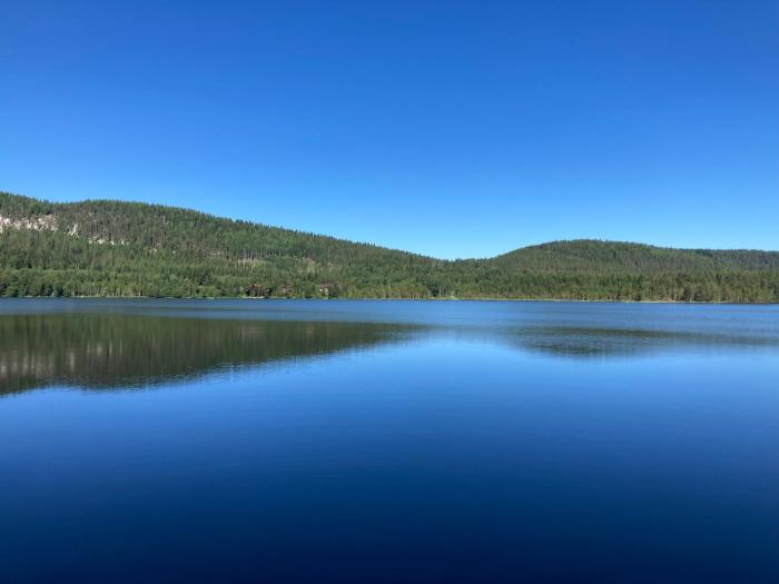 Koli country club basic 6